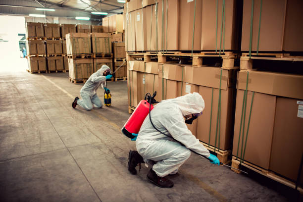 Best Pest Prevention Services  in Madison, WI