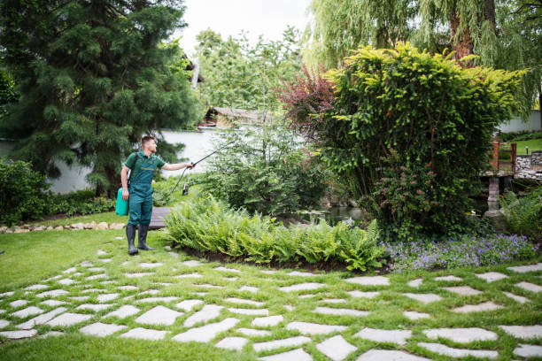 Best Mosquito Control Services  in Madison, WI