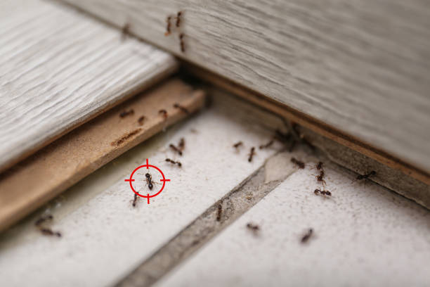 Best Wildlife Control Services  in Madison, WI