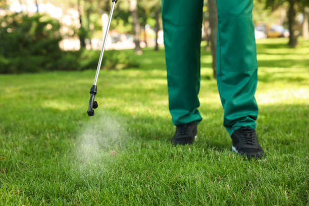 Best Residential Pest Control  in Madison, WI
