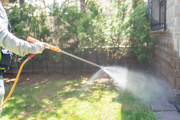 Best Pest Inspection Near Me  in Madison, WI