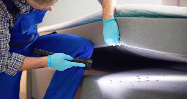 Best Affordable Pest Control Services  in Madison, WI