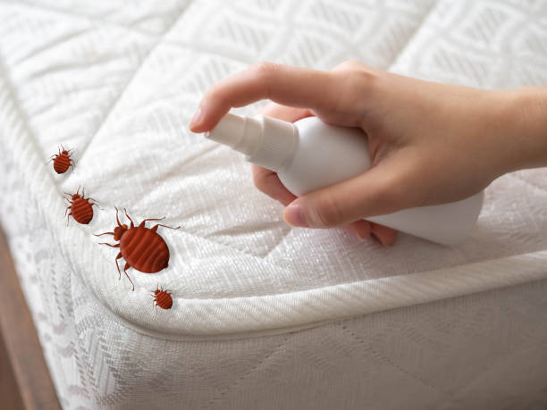 Best Commercial Pest Control Services  in Madison, WI