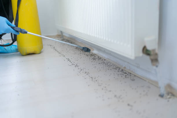 Best Mosquito Control Services  in Madison, WI