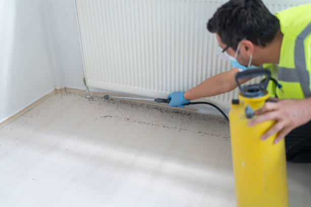 Best Affordable Pest Control Services  in Madison, WI